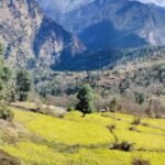 तुम आओ बसंत